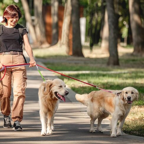 2PCS Reflective Dog Safety Collar Clips, Adjustable Nylon Pet Collar Double Ended 360 Degree Rotatable Backup Clasp Clips Dog Collar Harness Connector (Black, Grey) in Kuwait