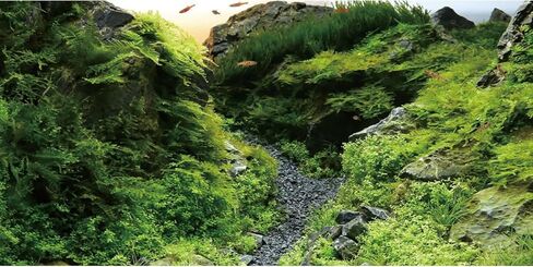 AWERT 48x24 inches Seagrass Aquarium Background Aquarium Background Aquatic Plant River Bed & Lake Fish Tank Background Vinyl Background in Kuwait