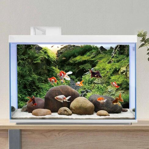 AWERT 48x24 inches Seagrass Aquarium Background Aquarium Background Aquatic Plant River Bed & Lake Fish Tank Background Vinyl Background in Kuwait