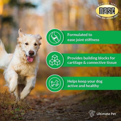 ULTIMATE PET NUTRITION Juve Flex، مكمل دعم مهدئ للورك والمفاصل للكلاب والغضاريف والكولاجين ودعم الصلابة، 30 قرصًا قابلاً للمضغ in Saudi Arabia