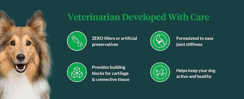 ULTIMATE PET NUTRITION Juve Flex، مكمل دعم مهدئ للورك والمفاصل للكلاب والغضاريف والكولاجين ودعم الصلابة، 30 قرصًا قابلاً للمضغ in Saudi Arabia