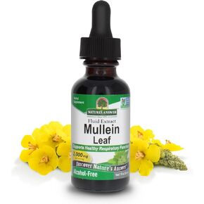 Nature's Answer Alcohol-Free Mullein Leaf 1oz Extract | Herbal Supplement | Supports Respiratory Function & Mucous Membranes | Non-GMO, Kosher, Gluten-Free | Single Count