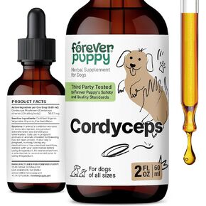 Cordyceps Tincture for Dogs - Mushroom Energy Supplements - Cordyceps Sinensis Liquid Drops for Kidney Detox & Cleanse - Dog Food Supplements for Pet Energy Support & Kidney Wellness - 2 oz