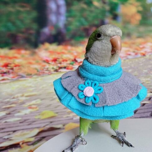 Parrot Neck Collar Pet Anti-bite Picking Feather Healing Protective Neck Cover Collar for Birds (XL) in Saudi Arabia