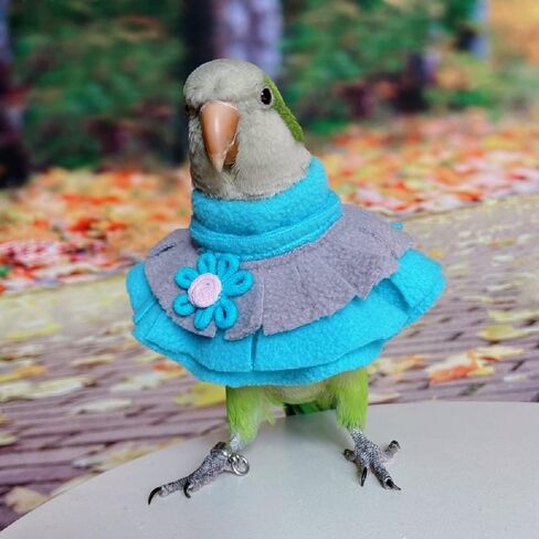 Parrot Neck Collar Pet Anti-bite Picking Feather Healing Protective Neck Cover Collar for Birds (XL) in Saudi Arabia