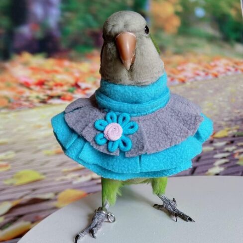 Parrot Neck Collar Pet Anti-bite Picking Feather Healing Protective Neck Cover Collar for Birds (XL) in Saudi Arabia