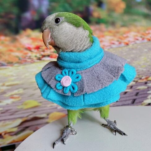 Parrot Neck Collar Pet Anti-bite Picking Feather Healing Protective Neck Cover Collar for Birds (XL) in Saudi Arabia