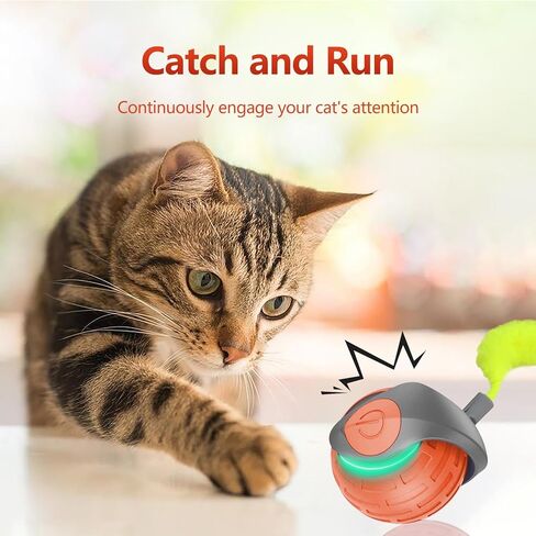 Interactive Cat Toy Balls, Motion Activated Rolling Ball with Type C Cord and Tail, Automatic Toy Balls for Cats and Dogs (Reddish Orange) in Saudi Arabia