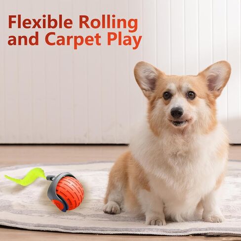 Interactive Cat Toy Balls, Motion Activated Rolling Ball with Type C Cord and Tail, Automatic Toy Balls for Cats and Dogs (Reddish Orange) in Saudi Arabia