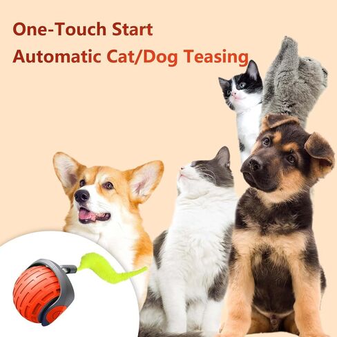 Interactive Cat Toy Balls, Motion Activated Rolling Ball with Type C Cord and Tail, Automatic Toy Balls for Cats and Dogs (Reddish Orange) in Saudi Arabia