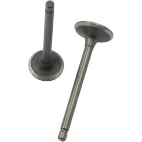 AUTOVIC Valve Set Intake Exhaust Valves For Yamaha ATV Badger Realtree Hunter Champ Raptor YFM80R YFM80W YFM100 Replace 22K-12111-03-00 22K-12121-03-00