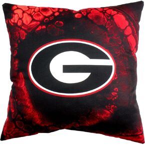 Florida Gators 2 Sided Color Swept Decorative Pillow, 16", Made in The USA