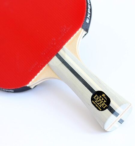Palio Expert 3.0 Table Tennis Racket & Case - ITTF Approved, Beginner Ping Pong Bat in Saudi Arabia