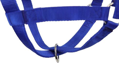 Derby Originals Adjustable Nylon Livestock Cattle Halters in Saudi Arabia