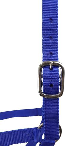 Derby Originals Adjustable Nylon Livestock Cattle Halters in Saudi Arabia