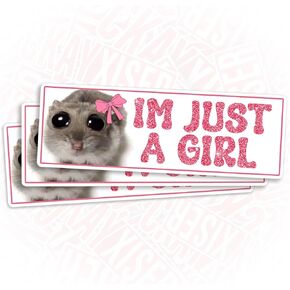 (3 Pcs) I'm Just a Girl Sticker Hamster Meme Sad Funny Cute for Car 3" Sticker Waterproof Vinyl Sticker for Laptop, Water Bottle, Tumbler, Accessory Hard Hat Gifts for Her Him 3 Inches