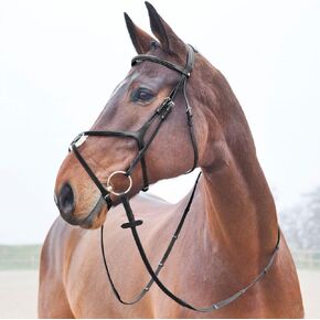 HORZE Prescott Figure 8 Bridle