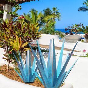 تكبير النباتات المعدنية تيكيلا ريفي النحت، ساحة الفناء في الهواء الطلق، ديكور المنزل رسمت باليد تمثال حديقة الصبار، في الهواء الطلق الحلي في الحديقة ساحة حصص هدية أمي (1 أزرق كبير) in Kuwait