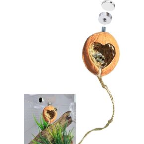 Jumping Spider Hide Uses a Bolt/nut Combo Jumping Spider Enclosure Very Strong Real Walnut with Magnetism Jumping Spider Accessories Naturalistic Hide Jumping Spider Enclosure Accessories