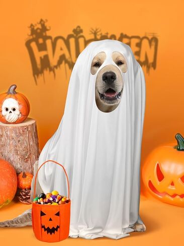 زي شبح الكلب للهالوين - قماش للحيوانات الأليفة قابل للتمدد للغاية مع دلو حلوى اليقطين للكلاب المتوسطة الحجم لحفلات الهالوين التنكرية in Kuwait