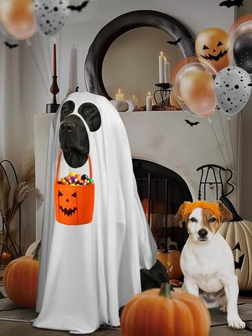 زي شبح الكلب للهالوين - قماش للحيوانات الأليفة قابل للتمدد للغاية مع دلو حلوى اليقطين للكلاب المتوسطة الحجم لحفلات الهالوين التنكرية in Kuwait