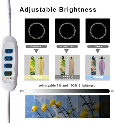 Photo Studio Light Box, 12"x12" Professional Dimmable Shooting Tent Kit with 120 LEDs Lights & 6 Kinds Double-Sided Color Backgrounds for Product Photography in Saudi Arabia