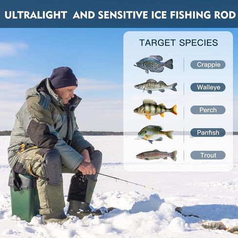 Goture Ice Fishing rod Twin Tip, 27"/32" Ice Spinning Rods, 2 Different Action Tips in One Rod, Medium/Medium Light, High Visibility Ice Rod with EVA Handle, 2 Different Models-Graphite in Saudi Arabia