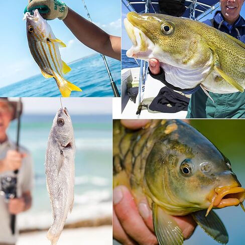 Trolling Weights Inline Fishing Weights Sinkers Double Ringed Weights for Saltwater Freshwater Fishing Get Lures Deeper 1oz to 5oz in Saudi Arabia