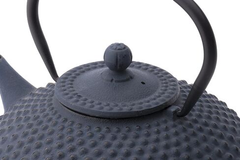 bredemeijer Jing Teapot, 1.25-Liter, Blue Cast Iron in Saudi Arabia