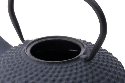 bredemeijer Jing Teapot, 1.25-Liter, Blue Cast Iron in Saudi Arabia