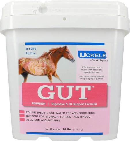 Ucklee من SmartPak Gut™ Powder | البروبيوتيك الصحي للأمعاء للخيول | مسحوق البريبيوتيك والبروبيوتيك للخيول | مكمل معدة الحصان | دلو 10 رطل in Kuwait