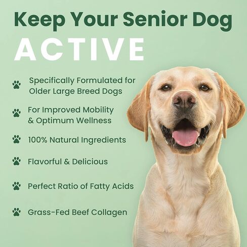 Veterinary Naturals Hemp & HIPS Joint Supplement for Dogs - 60 Soft Chews for Dog Hip and Joint Supplement with Glucosamine for Dogs, MSM, & Turmeric (Beef & Bacon) in Saudi Arabia