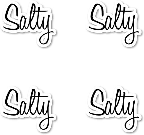 ملصقات مجموعات Trendsetter من Salty - 3 عبوات - مجموعة من ملصقات الكمبيوتر المحمول من الفينيل مقاس 2.5 و3 و4 بوصات - لأجهزة الكمبيوتر المحمول والهاتف وزجاجة المياه والسيارة والمزيد (3 عبوات) S29842-3Pack in Saudi Arabia