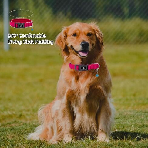 Dog Collar 360° Padded Reflective Collar,Secure Dog Girl with Safety Locking Buckle,Soft Breathable Nylon,Ideal for Small Dog Collar Girl Dog Collars for Medium Dogs Girl (Coral Red, Medium) in Saudi Arabia