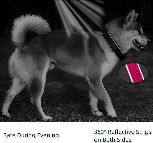 Dog Collar 360° Padded Reflective Collar,Secure Dog Girl with Safety Locking Buckle,Soft Breathable Nylon,Ideal for Small Dog Collar Girl Dog Collars for Medium Dogs Girl (Coral Red, Medium) in Saudi Arabia