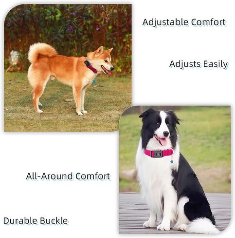 Dog Collar 360° Padded Reflective Collar,Secure Dog Girl with Safety Locking Buckle,Soft Breathable Nylon,Ideal for Small Dog Collar Girl Dog Collars for Medium Dogs Girl (Coral Red, Medium) in Saudi Arabia