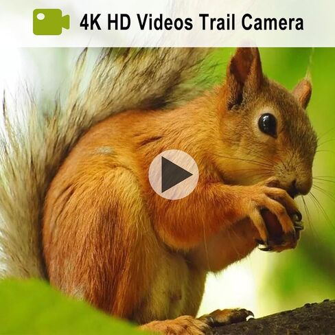 كاميرا 45 ميجابكسل 4K كاميرا لعبة كاميرا فلاش مزدوج 940 نانومتر LED ووقت استعداد طويل LED أبيض (LY590-D4K) in Kuwait