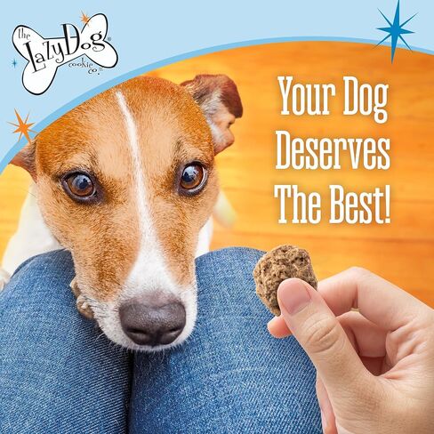 The Lazy Dog Cookie Co. ساندويتش الديك الرومي المتبقي، الديك الرومي والبطاطا الحلوة المخبوزة بشكل طري، علاجات طبيعية للكلاب لفصلي الخريف وعيد الشكر، مكونات خالية من القمح ومحدودة، مصنوعة في الولايات المتحدة الأمريكية، 5 أونصة. (عبوة من 1) in Saudi Arabia