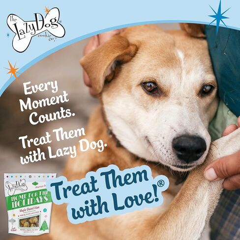 The Lazy Dog Cookie Co. ساندويتش الديك الرومي المتبقي، الديك الرومي والبطاطا الحلوة المخبوزة بشكل طري، علاجات طبيعية للكلاب لفصلي الخريف وعيد الشكر، مكونات خالية من القمح ومحدودة، مصنوعة في الولايات المتحدة الأمريكية، 5 أونصة. (عبوة من 1) in Saudi Arabia