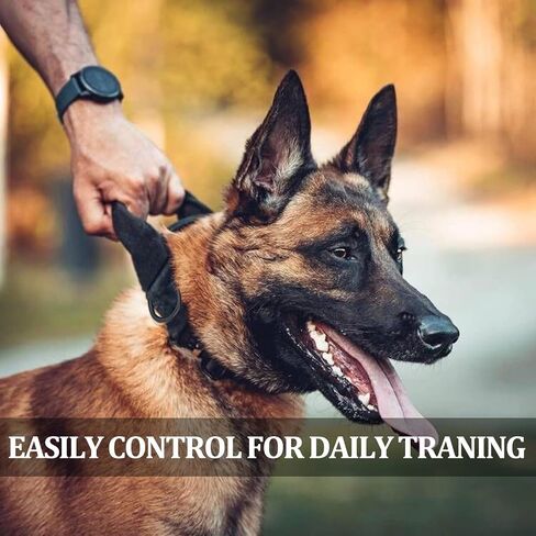 COOYOO Dog Collar,3 Piece Set Tactical Dog Collar, Adjustable Military Training Nylon Dog Collar with Control Handle and Heavy Metal Buckle for Medium and Large Dogs in Kuwait