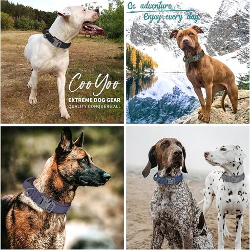 COOYOO Dog Collar,3 Piece Set Tactical Dog Collar, Adjustable Military Training Nylon Dog Collar with Control Handle and Heavy Metal Buckle for Medium and Large Dogs in Kuwait