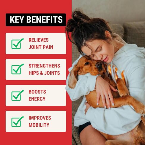 Hip and Joint Supplement for Dogs, 60 Duck Flavor Soft Chews with Glucosamine, Chondroitin, MSM and Green Lipped Mussel. Advanced Formula for Premium Mobility Support and Joint Health for Dogs in Saudi Arabia