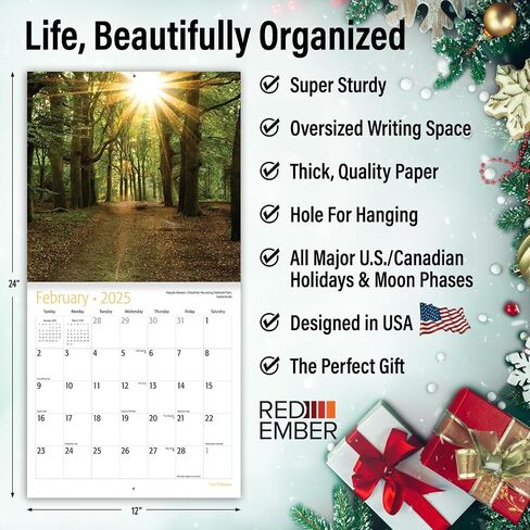 RED EMBER Trees Hangable Monthly 2025 Wall Calendar | 12" x 24" When Open | Thick & Sturdy Paper | Giftable | Beautiful Pathways Nature in Saudi Arabia