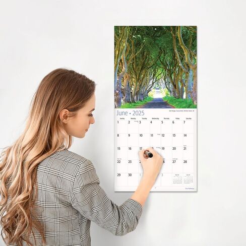RED EMBER Trees Hangable Monthly 2025 Wall Calendar | 12" x 24" When Open | Thick & Sturdy Paper | Giftable | Beautiful Pathways Nature in Saudi Arabia