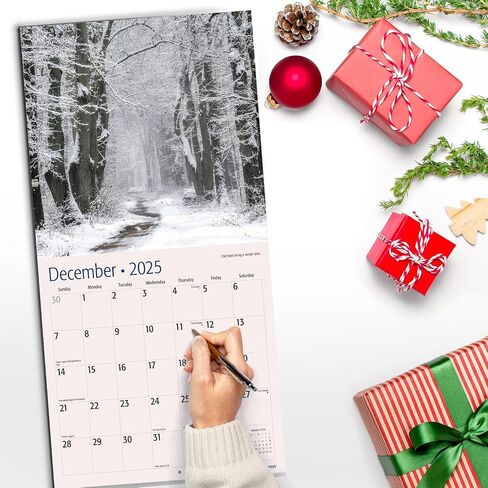 RED EMBER Trees Hangable Monthly 2025 Wall Calendar | 12" x 24" When Open | Thick & Sturdy Paper | Giftable | Beautiful Pathways Nature in Saudi Arabia