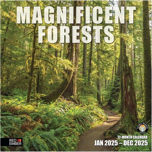RED EMBER Trees Hangable Monthly 2025 Wall Calendar | 12" x 24" When Open | Thick & Sturdy Paper | Giftable | Beautiful Pathways Nature in Saudi Arabia