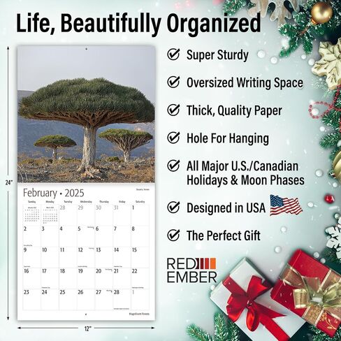 RED EMBER Trees Hangable Monthly 2025 Wall Calendar | 12" x 24" When Open | Thick & Sturdy Paper | Giftable | Beautiful Pathways Nature in Saudi Arabia
