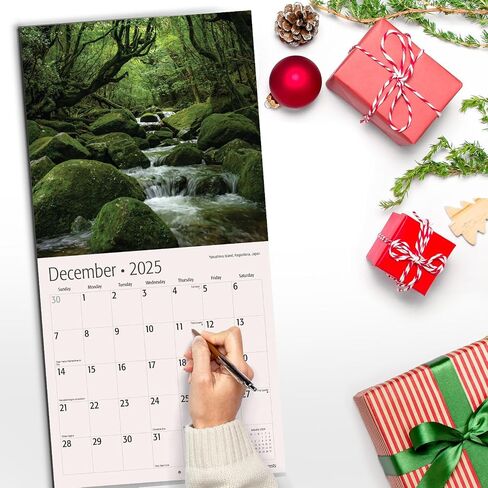 RED EMBER Trees Hangable Monthly 2025 Wall Calendar | 12" x 24" When Open | Thick & Sturdy Paper | Giftable | Beautiful Pathways Nature in Saudi Arabia