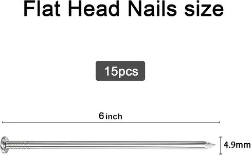 20PCS Stainless Steel Hardware Nails with Storage Box, 5Inch Flat Head Nails for Hanging Pictures and Woodworking, Picture Hanging Nails, Long Nails, Wall Nails, Wood Nails, Finishing Nails in Saudi Arabia