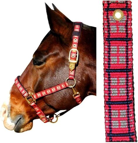 Intrepid International Plaid Nylon Padded Horse Halter in Saudi Arabia